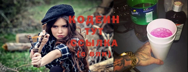 спиды Арсеньев