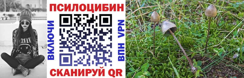 Галлюциногенные грибы прущие грибы Нововоронеж