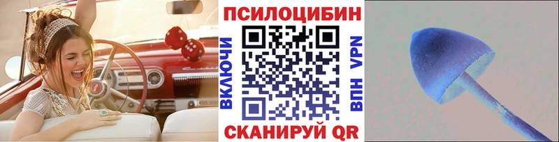 сколько стоит  Нововоронеж  Псилоцибиновые грибы Cubensis 